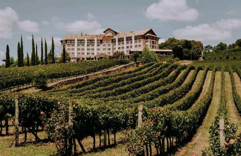 Em um dia de sol, vinícola de um hotel vinícola no Vale dos Vinhedos com árvores e parte gramada ao redor