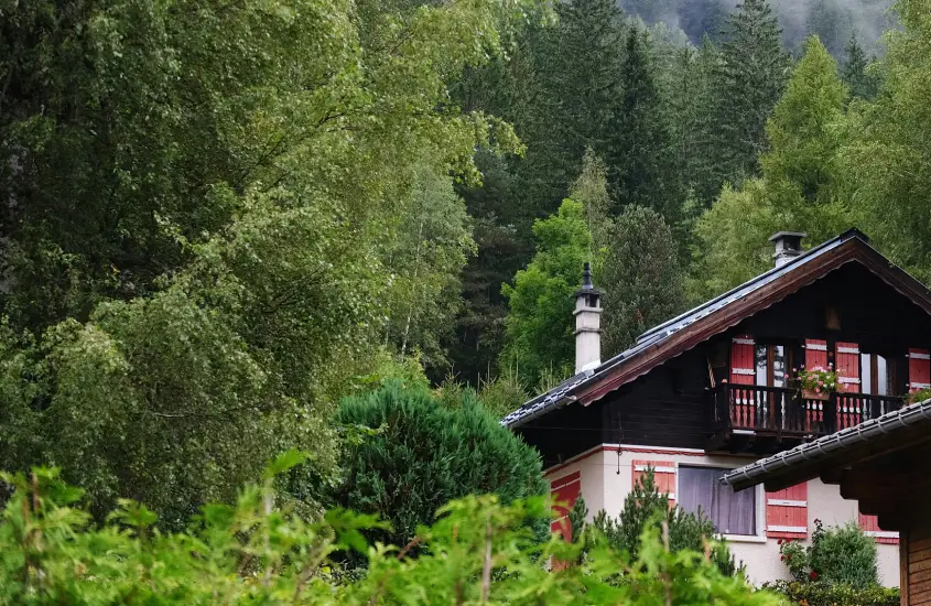 Chalé de madeira cercado por vegetação densa e neblina em Chamonix, em um dia nublado