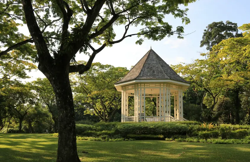 Gazebo branco cercado por árvores no Singapore Botanic Gardens ao entardecer.