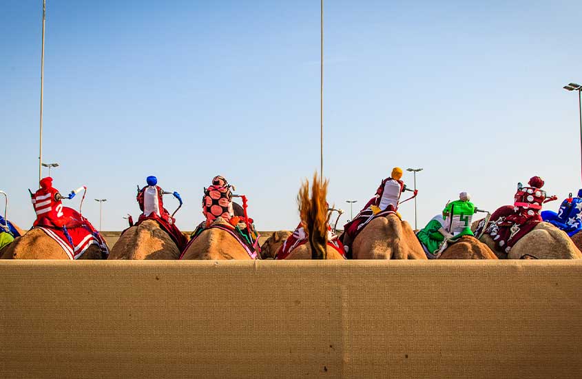 Uma corrida de camelos colorida com jóqueis robóticos em ação no deserto, destacando uma tradição árabe.