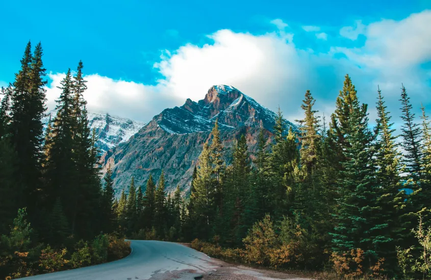 Estrada entre pinheiros e montanhas em Banff, um dos melhores destinos de inverno do mundo