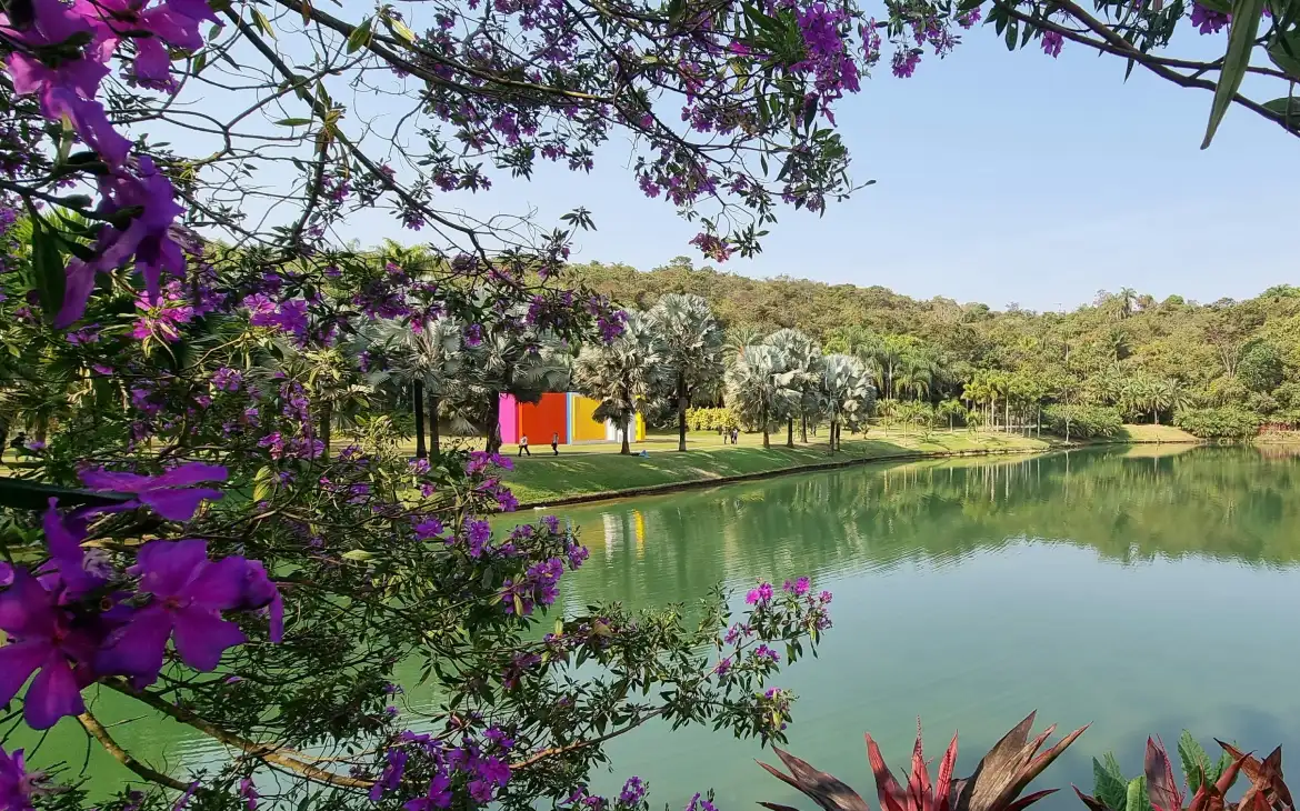 Flores roxas em primeiro plano enquadram a vista do lago sereno e das palmeiras em um dia ensolarado em Inhotim, um dos melhores lugares para se hospedar e explorar arte ao ar livre no Brasil