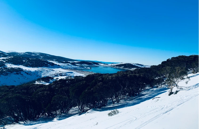 Vista panorâmica das montanhas nevadas da Austrália com árvores ao redor, ideal para atividades de inverno no país