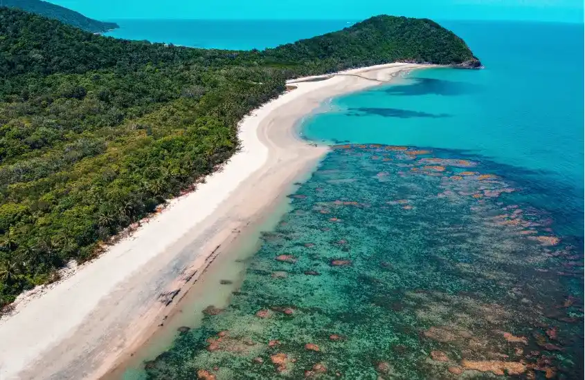 Praia com recifes de corais visíveis sob águas cristalinas, cercada por vegetação densa.