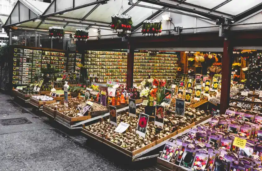 Uma banca cheia de flores e bulbos organizados em caixas de madeira dentro de um mercado de flores na Holanda