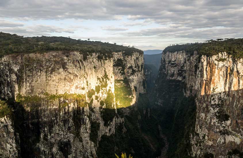 Vista das formações rochosas do Cânion Itaimbezinho em Cambará do Sul, cercado por vegetação verde