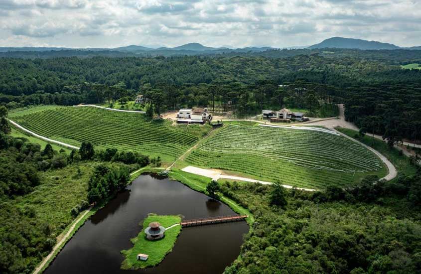 Vista aérea de um vinhedo em meio à natureza, com um pequeno lago ao centro. O cenário rural e verde é destacado pelo céu nublado ao fundo