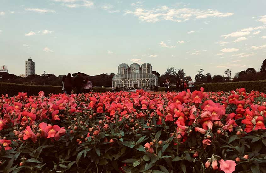 O Jardim Botânico de Curitiba com suas flores vermelhas em primeiro plano e a estufa ao fundo, criando uma cena vibrante e colorida