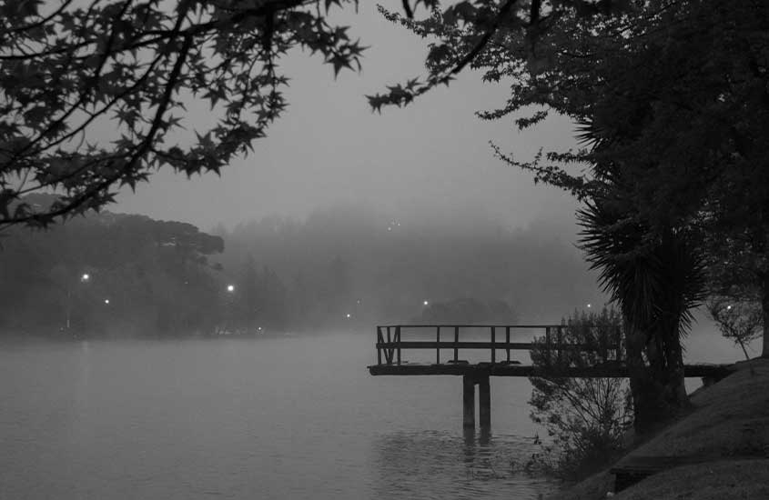 Manhã com neblina em um lago tranquilo. Árvores e um píer de madeira reforçam o clima melancólico