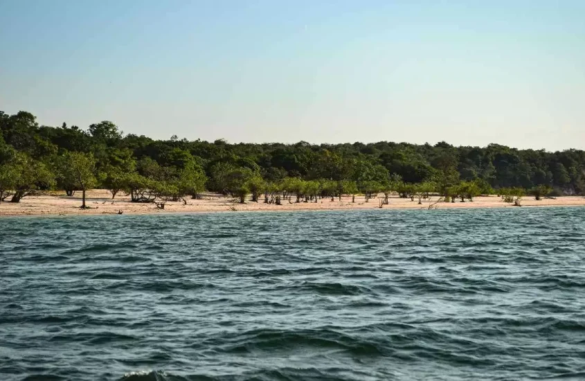 A calmaria da praia de Alter do Chão ao fim da tarde, com árvores à beira d'água e o rio calmo refletindo o céu claro