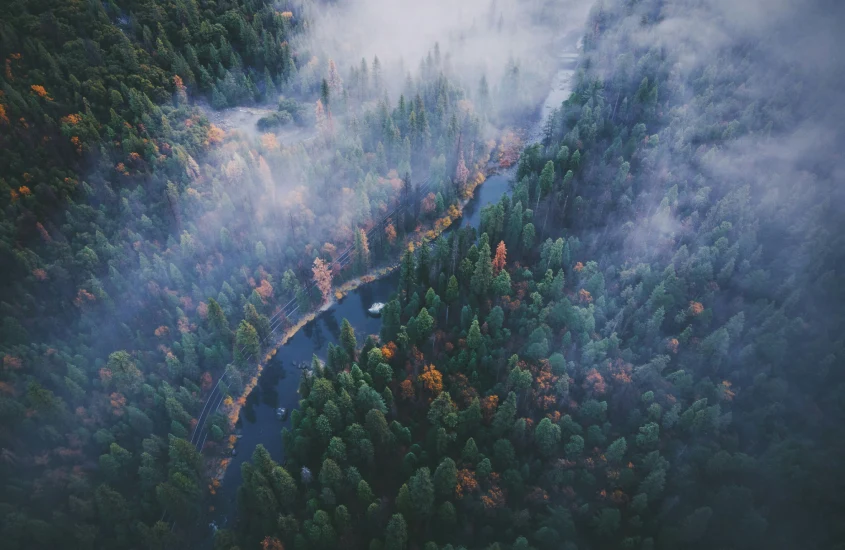 Vista aérea de uma floresta densa coberta por uma neblina, com árvores verdes e laranja outonais