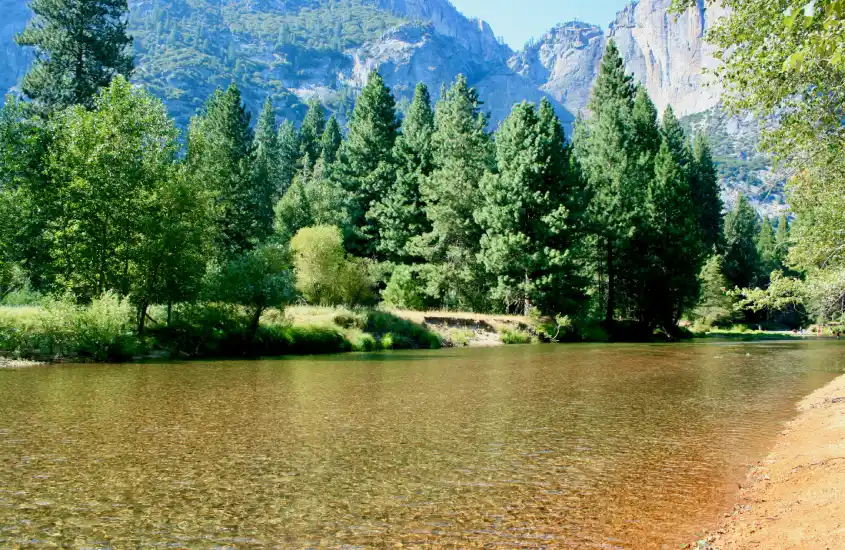 Um rio raso e cristalino corre tranquilamente cercado por árvores e vegetação densa. Ao fundo, montanhas rochosas se erguem sob o céu azul em Mariposa, perto de Yosemite