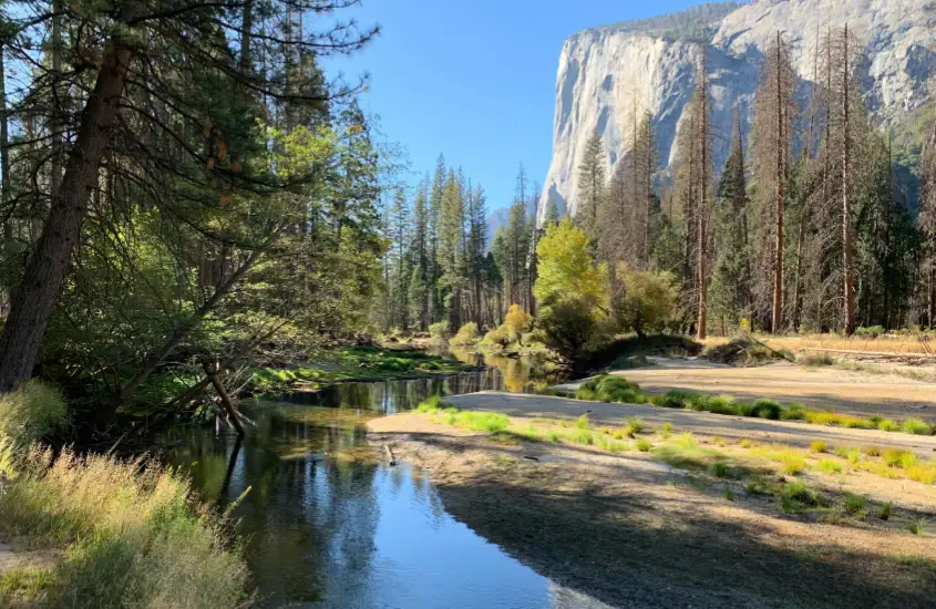 Um pequeno rio serpenteia por uma área florestal, com o reflexo das árvores nas águas calmas. Ao fundo, uma enorme formação rochosa icônica de Yosemite completa a cena