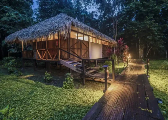 Cabana de madeira com telhado de palha elevada do solo, cercada por vegetação densa, iluminada por luzes suaves ao longo de um caminho de madeira