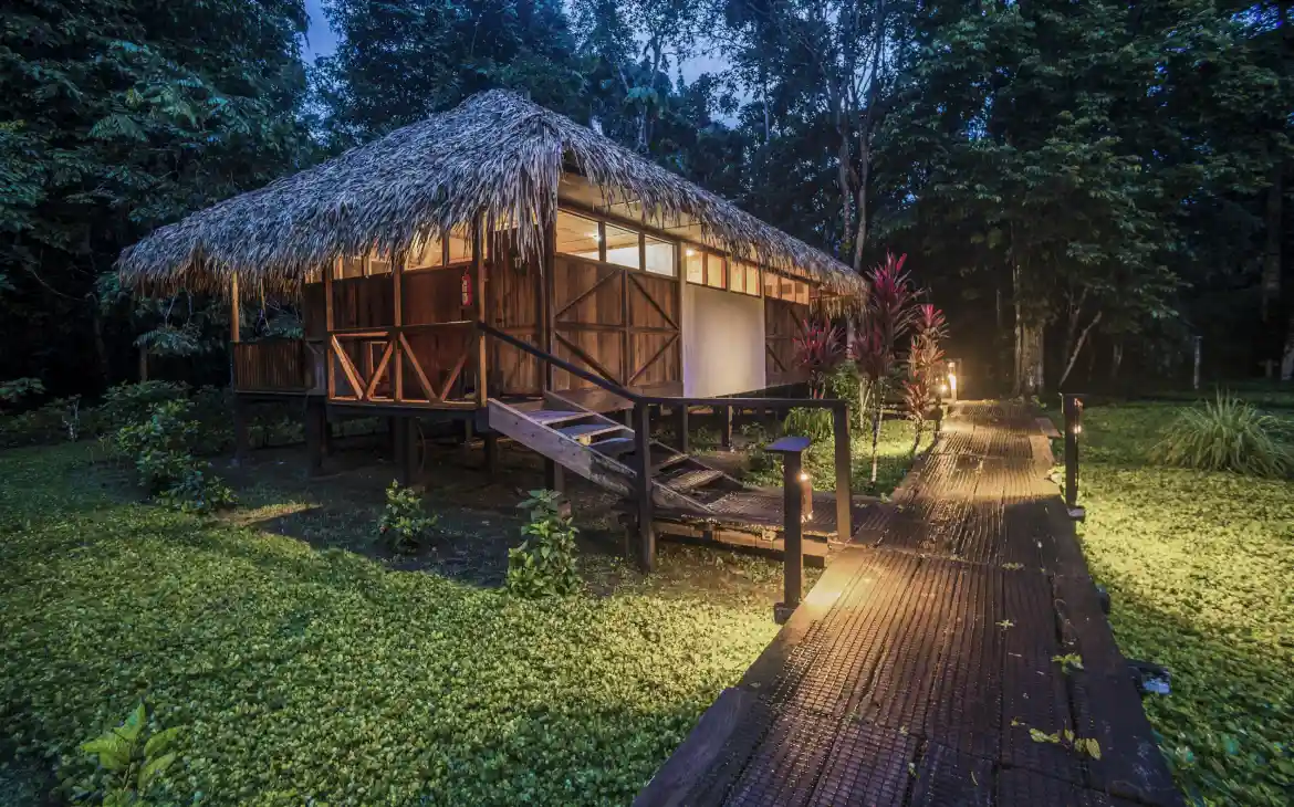 Cabana de madeira com telhado de palha elevada do solo, cercada por vegetação densa, iluminada por luzes suaves ao longo de um caminho de madeira