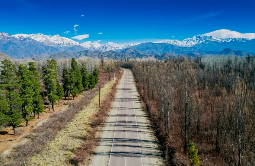 Estrada cercada por árvores e montanhas nevadas na região de Mendoza, Argentina