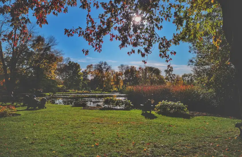 Árvores com folhas em tons de vermelho e laranja no outono, criando um cenário relaxante no parque La Fontaine