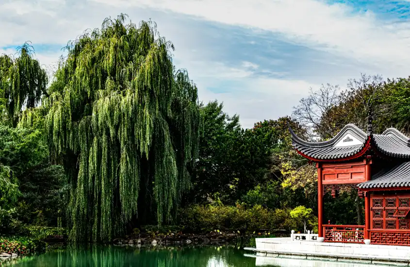 Estrutura tradicional chinesa com telhados curvados à beira de um lago, cercada por árvores exuberantes