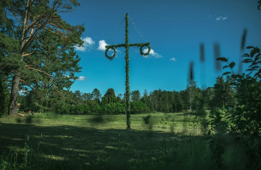 Mastro de Midsommar decorado com folhas verdes em um campo aberto na Suécia, símbolo da celebração tradicional sueca.