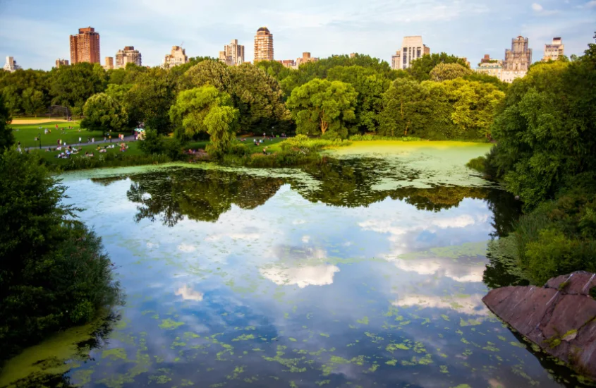 Um parque urbano em Nova York, com árvores verdes e um lago refletindo os arranha-céus ao fundo