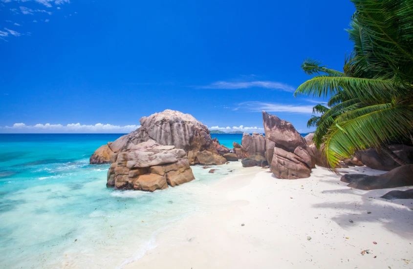 Praia de areia branca e pedras em um lugar romântico, com águas transparentes que convidam para um dia relaxante e inesquecível