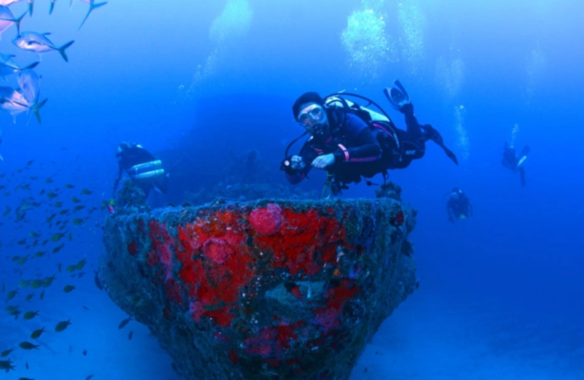 Mergulhador explorando um navio naufragado coberto de corais no fundo do mar em Fernando de Noronha, acompanhado por cardumes de peixes.