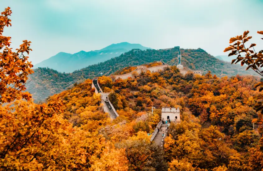 Trecho da Grande Muralha da China serpenteando por colinas cobertas de folhas alaranjadas, com montanhas ao fundo sob um céu azul suave.