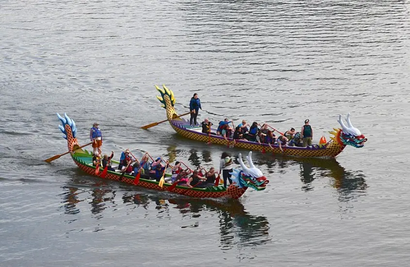 Embarcações em forma de dragão, decoradas com cabeças coloridas, deslizando lado a lado em um rio durante uma competição tradicional.