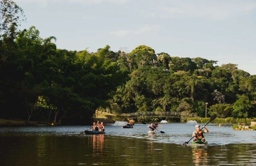 Em um dia de sol, rio com pessoas andando de caiaque e árvores ao redor