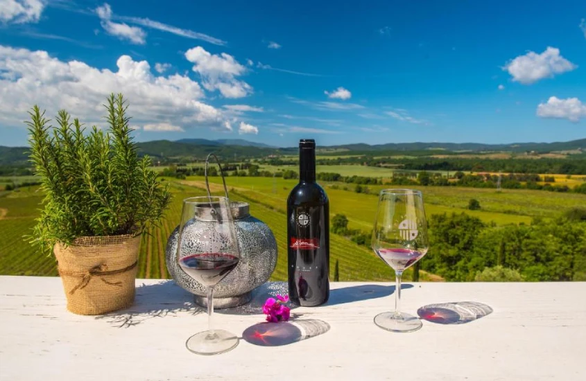 Garrafa de vinho e taças dispostas em uma mesa ao ar livre, com vista para vinhedos e colinas sob um céu azul e ensolarado