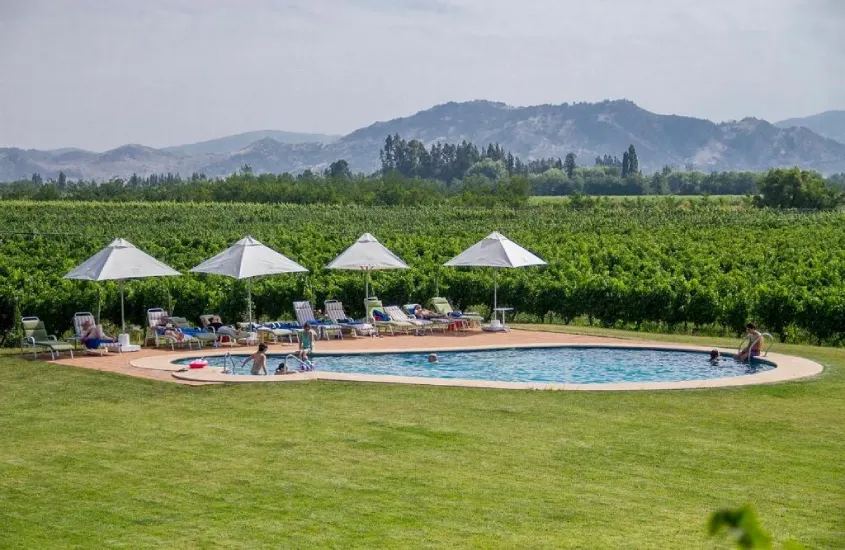 Piscina ao ar livre cercada por gramado verde, cadeiras e guarda-sóis, com vinhedos e montanhas ao fundo.