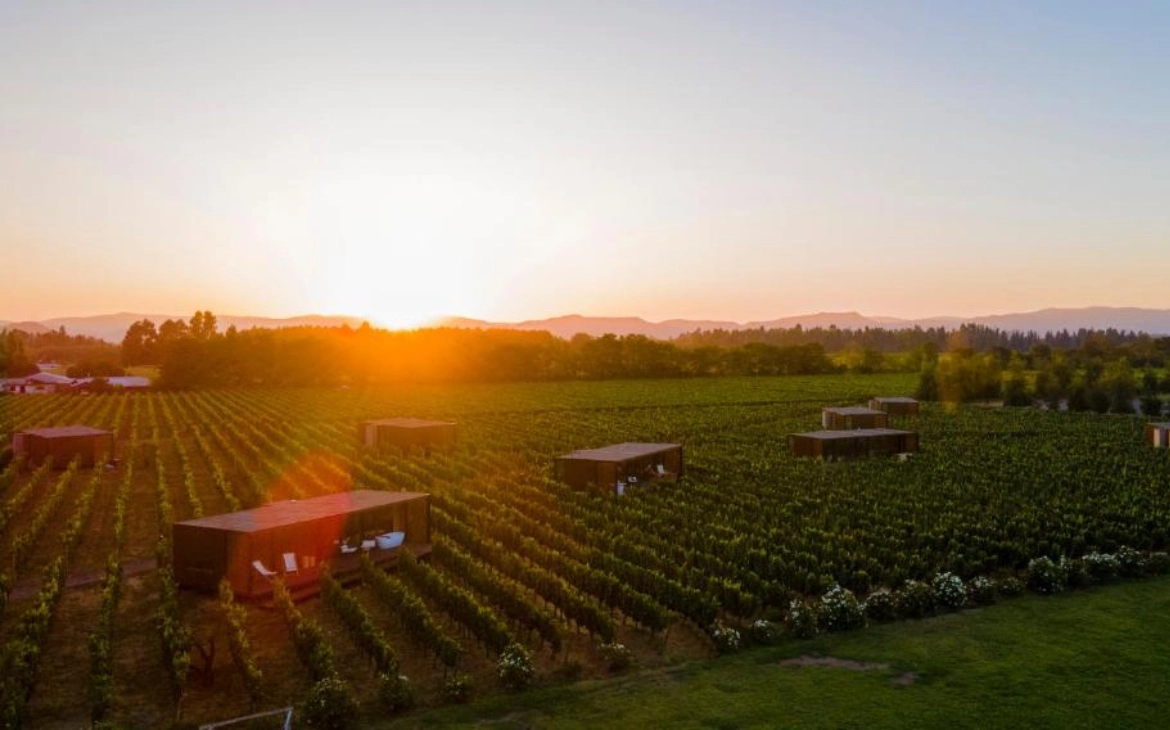 Paisagem de um vinhedo ao pôr do sol, com cabanas modernas dispersas entre as fileiras de videiras.