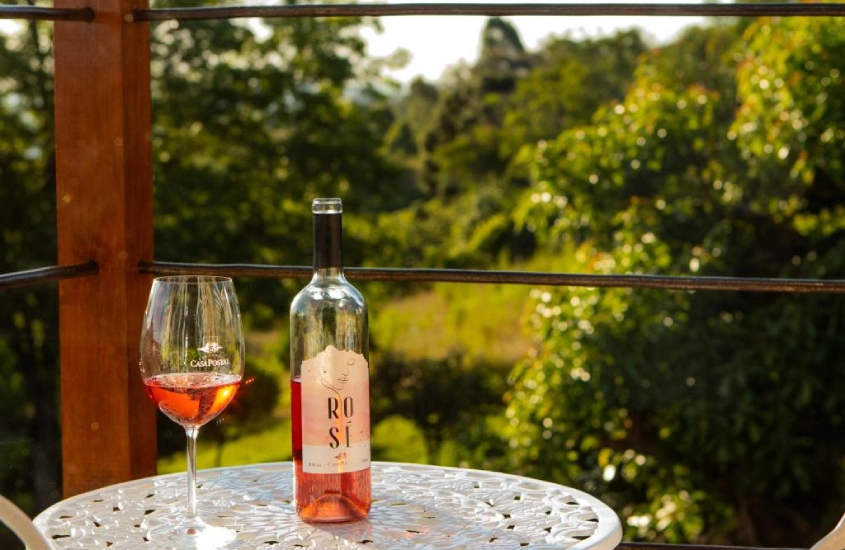 Paisagem da janela com lago, várias árvores ao redor, mesa e taça de vinho rosé com garrafa ao lado