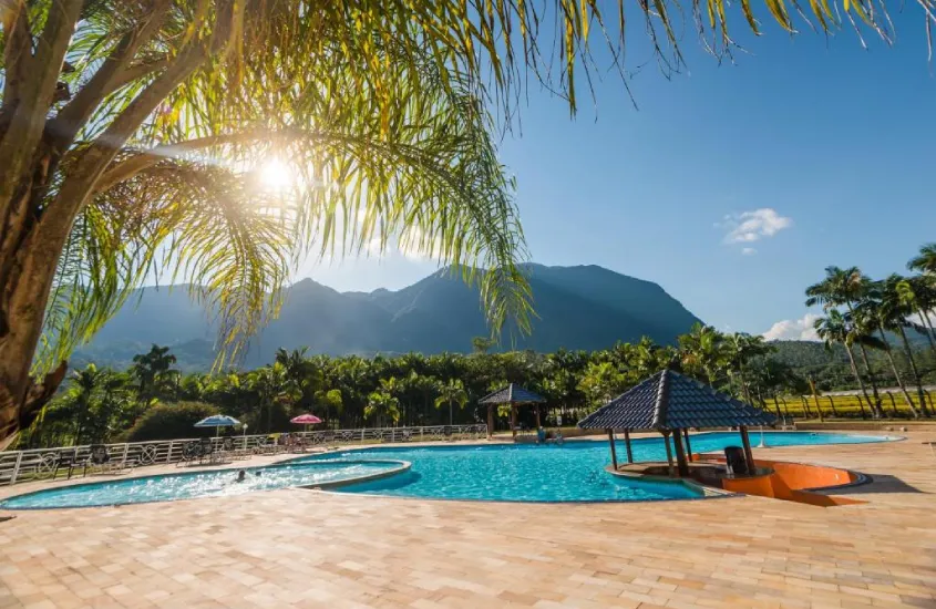 Em um dia ensolarado área de lazer com piscina, guarda-sóis, espreguiçadeiras, árvores e plantas ao redor