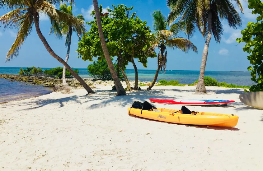 Paisagem da praia com canoa, prancha e árvores