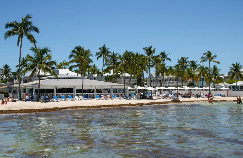 Em um dia de sol, área de lazer de hotel com piscina natural, espreguiçadeiras e árvores ao redor