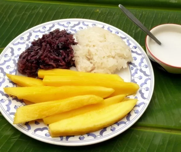 Prato branco e azul, com arroz e mangas, um prato da culinária tailandesa conhecido como khao nia mamuang