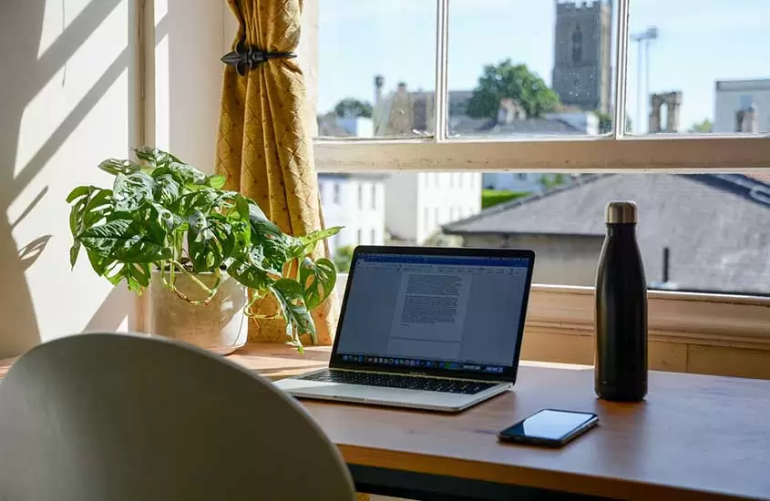 Notebook, celular, garrafa e vaso de planta em cima de mesa de escritório
