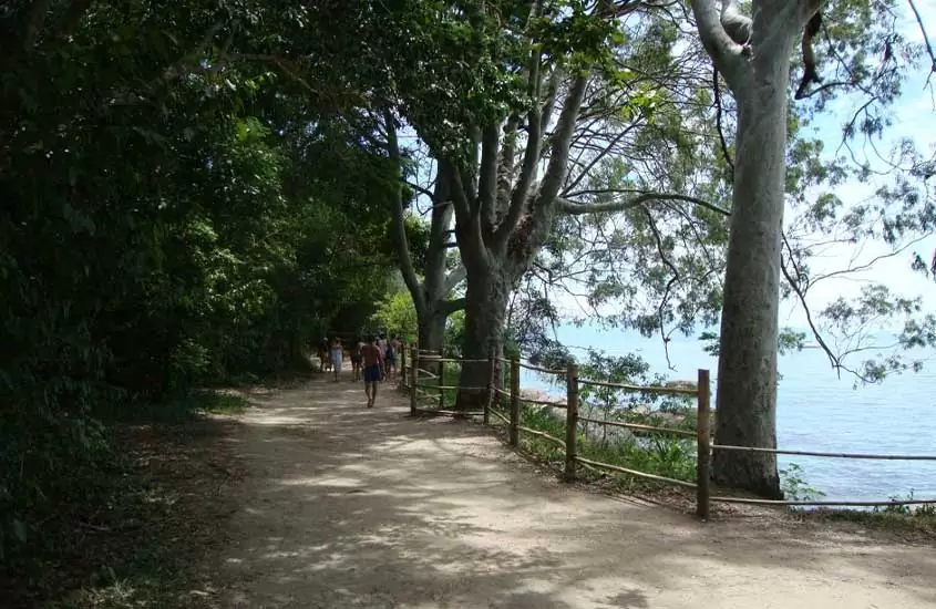 pessoas caminham durante o dia em Circuito Abraão, uma trilha para quem busca o que fazer de graça em Ilha Grande
