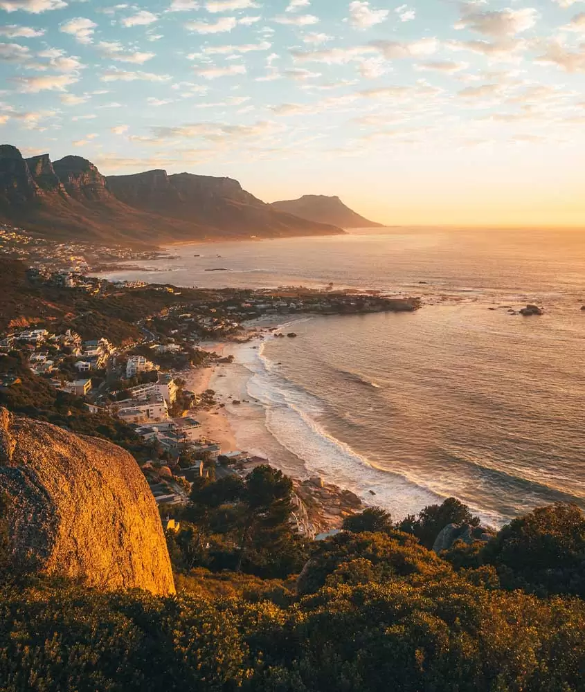 vista aérea de mar e árvores em África do Sul