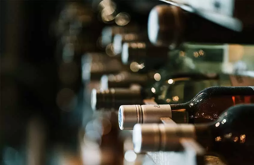 garrafas de vinho, uma das curiosidades sobre a África do Sul é que seus vinhos são mundialmente famosos