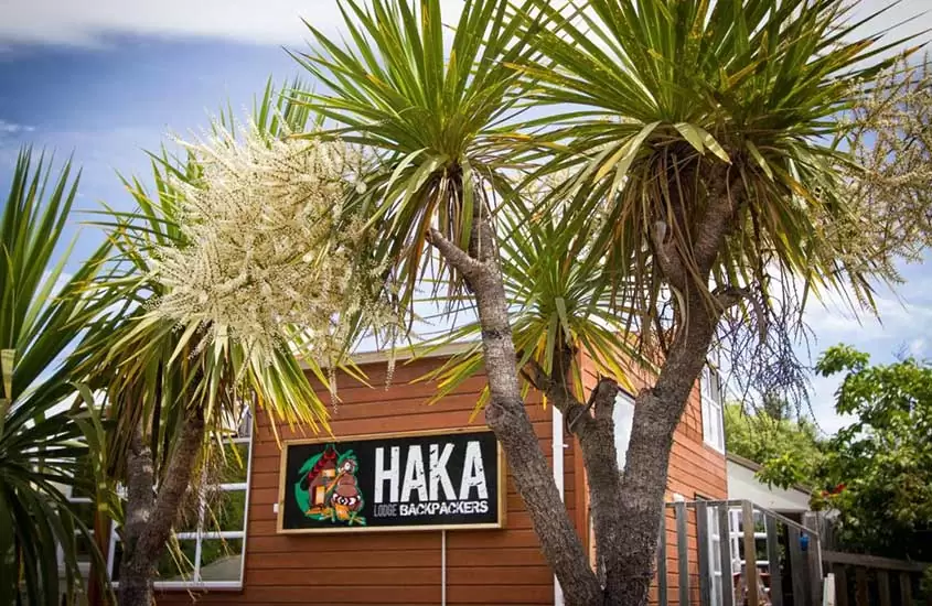 árvores em frente a fachada de Haka Lodge Queenstown, um hostel nova zelandia