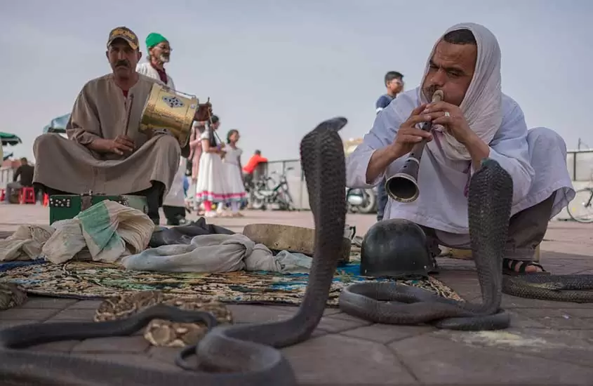 Homens encantam serpente em Marrakesh, uma das curiosidades do Marrocos é que há muitos encantadores de serpentes