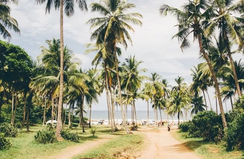 coqueiros em Praia em Itacaré, um dos lugares baratos para viajar na bahia