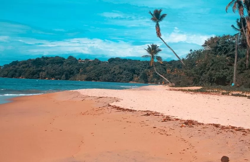 faixa de areia, vegetação, mar e coqueiros em Boibepa