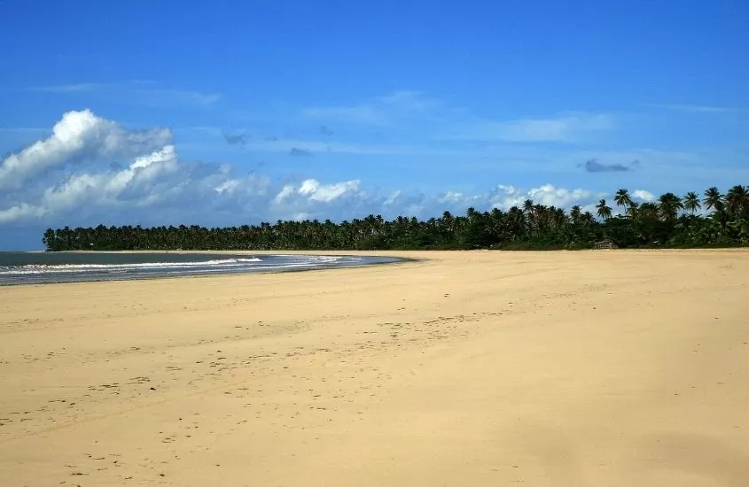 mar, areia vazia e coqueiros em Praia de Bainema, uma opção para quem busca o que fazer em Boipeba