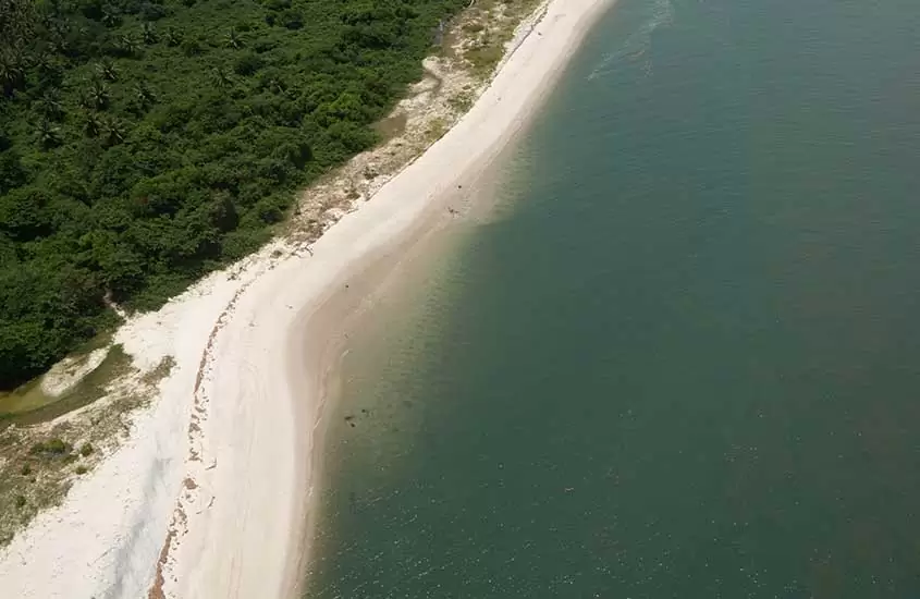 vista aérea de vegetação, areia e mar em morro de são Paulo, durante o dia