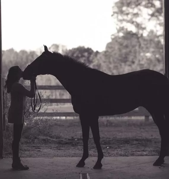 mulher beijando cavalo em haras em vargem grande
