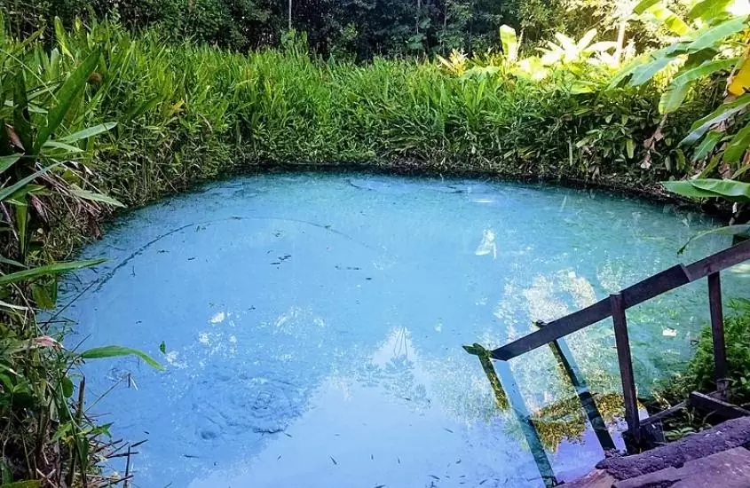 águas azuis cercadas de plantas em fervedouros dos buritis