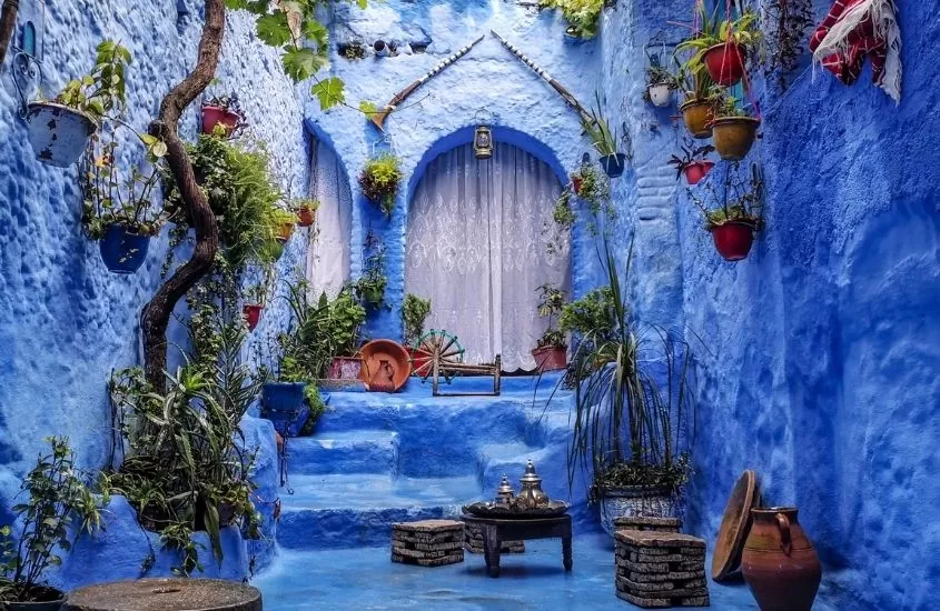 diversos vasos de plantas em frente à casa azul em chefchaouen, cidade no marrocos
